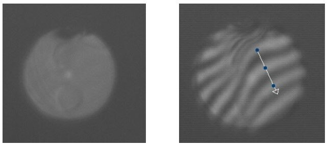 Рисунок 14 – Изображение и интерференционная картина для волокна 10, 125 мкм РМ.jpg