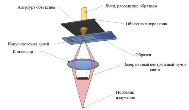 Рисунок 7 – Общий принцип метода темного поля.jpg