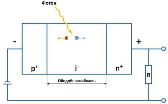 Рисунок 1 – Схематичное представление внутреннего строения PIN-фотодиода.png