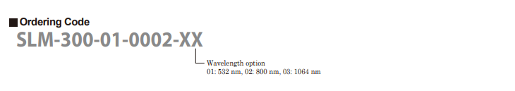 SLM- (order1).png