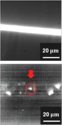 излучаемые фотоны.png