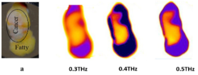 Терагерцовое излучение 4.png