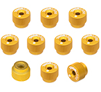 F25SSK1-GOLD.png