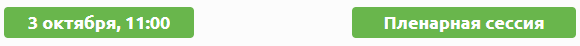 пленарная сессия.png