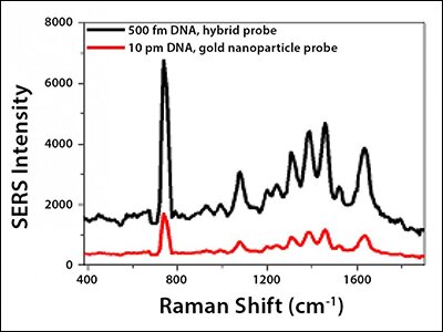 sers-based-detection-of-a-segment-of-the-hiv-1-gag-gene.jpg