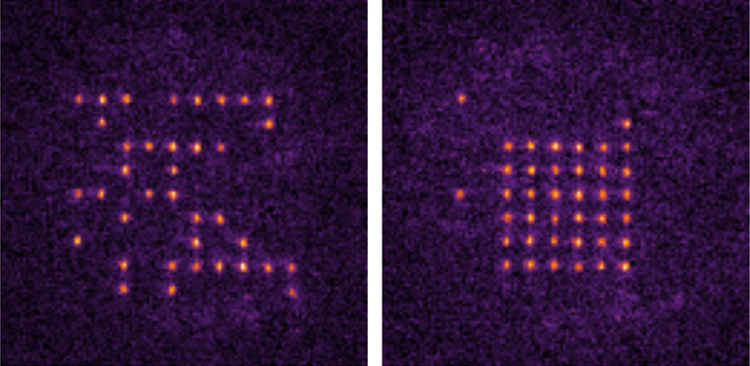 Рисунок 6 - Массив атомов рубидия 6 на 6 до и после сортировки лазерным пинцетом.png