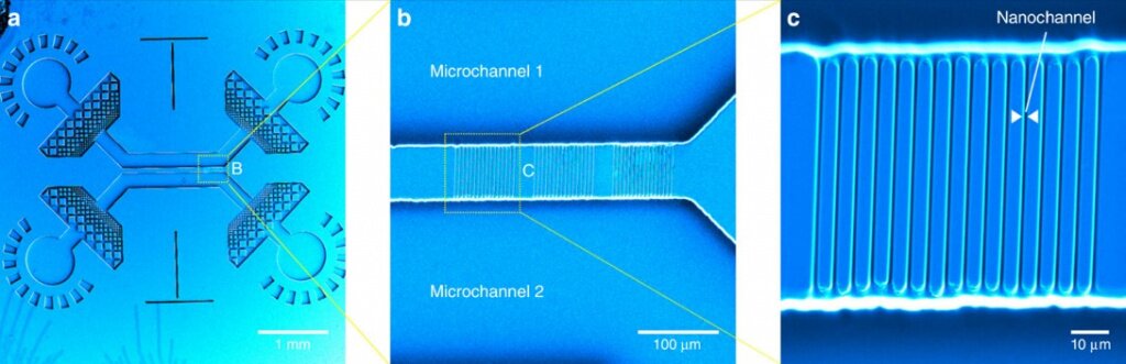 Рисунок1.jpg Рисунок1.jpg