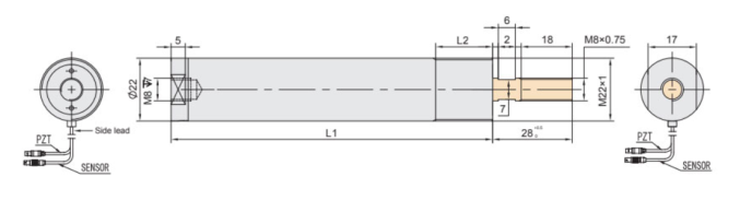 Пьезоактуатор FPSt150 с внешней резьбой М22