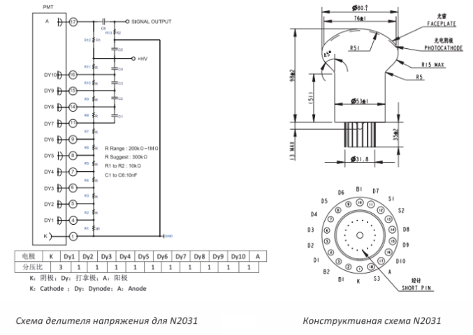 Фотоумножающая трубка N2031