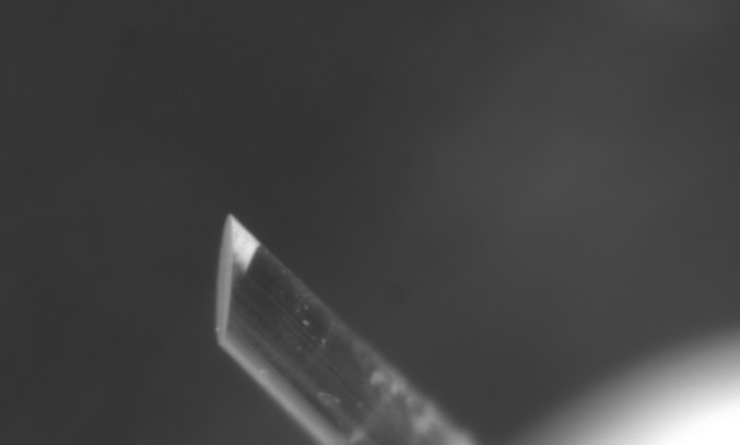 Полировальная машинка для голого волокна  и кристаллов BFP1000