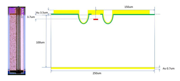 Чипы лазерных DFB диодов, 1310 нм, 70 мВт, 100 мВт, BHB31G3A2E 
