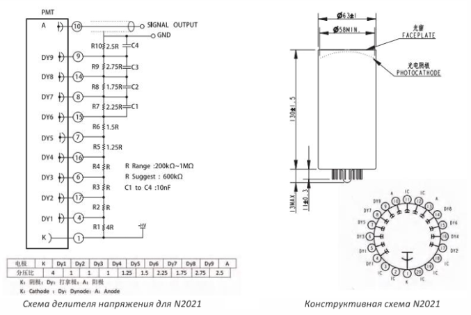 Фотоумножающая трубка N2021