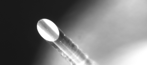 Полировальная машинка для голого волокна  и кристаллов BFP1000