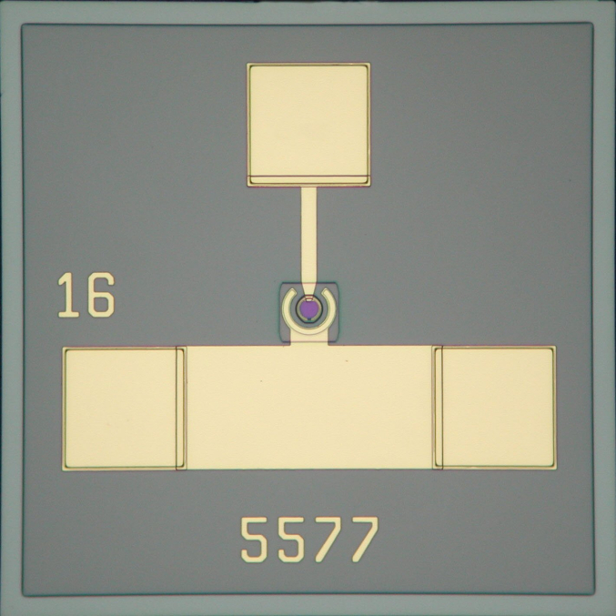 32 Гб/с чип PD20B1