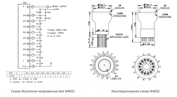 Фотоумножающая трубка N4031